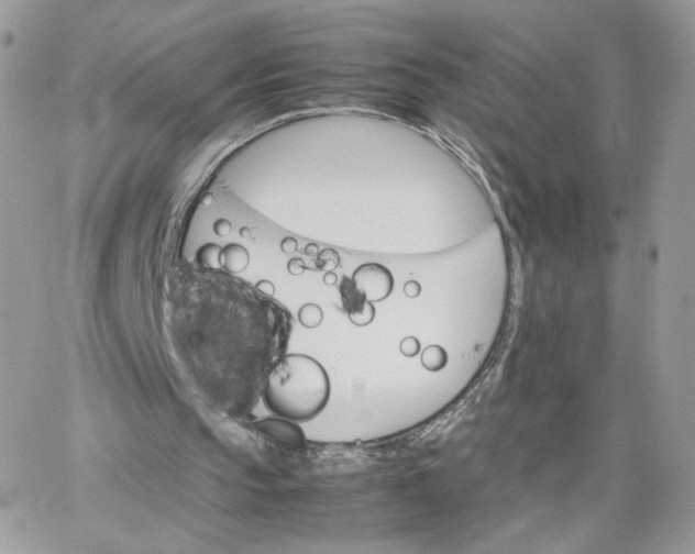 X0000066080145200603241440