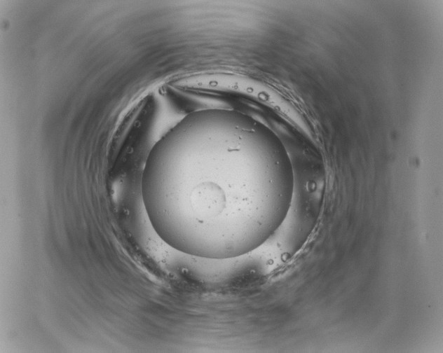 X0000066080146200603241440