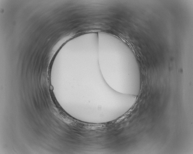 X0000066080147200603241440