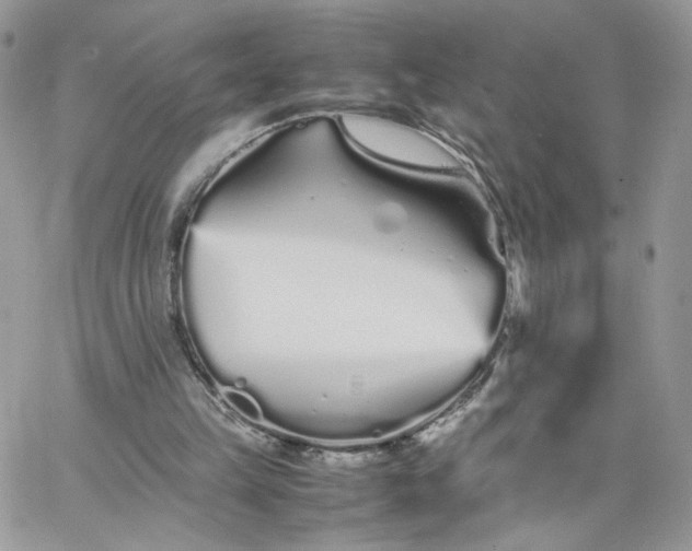 X0000066080149200603241440