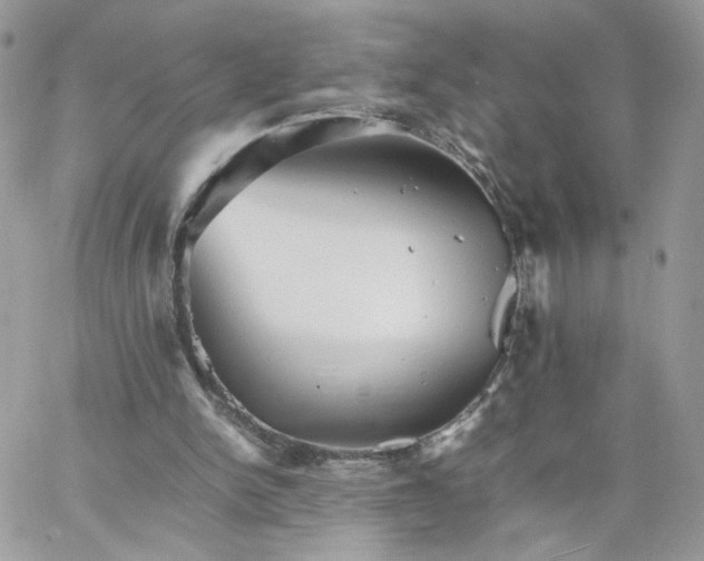 X0000066080150200603241440