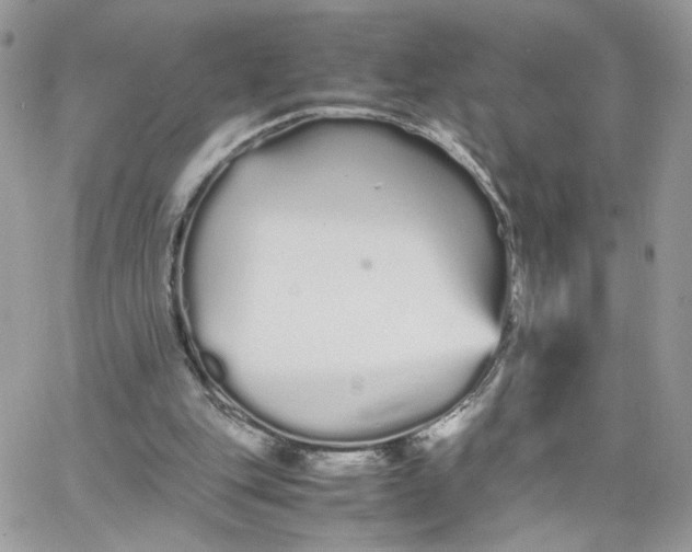 X0000066080151200603241440