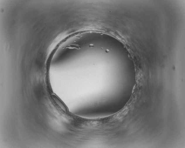 X0000066080152200603241440