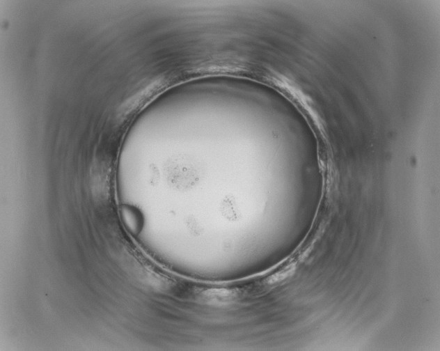 X0000066080153200603241440