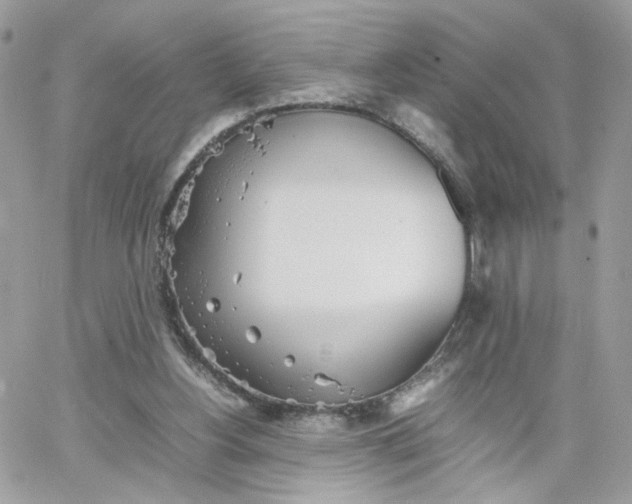 X0000066080156200603241440