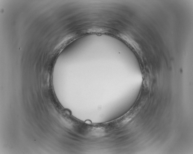 X0000066080157200603241440