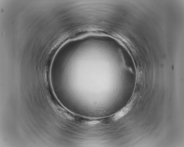 X0000066080158200603241441