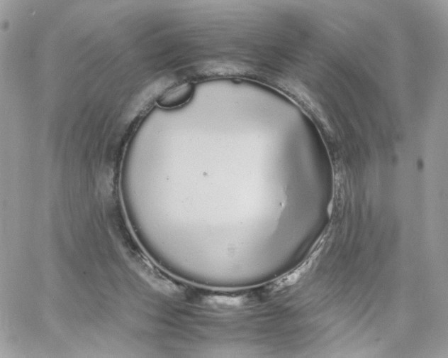 X0000066080159200603241441