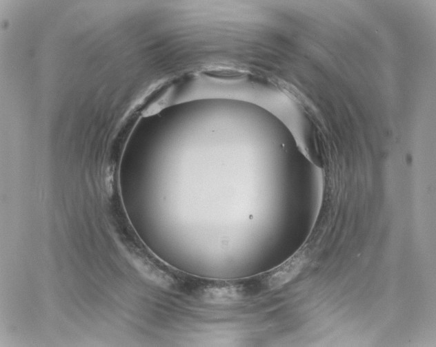 X0000066080160200603241441