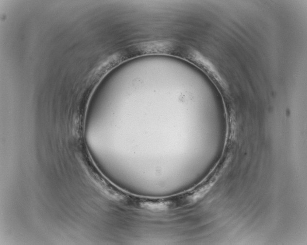 X0000066080161200603241441