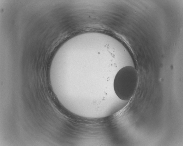 X0000066080162200603241441