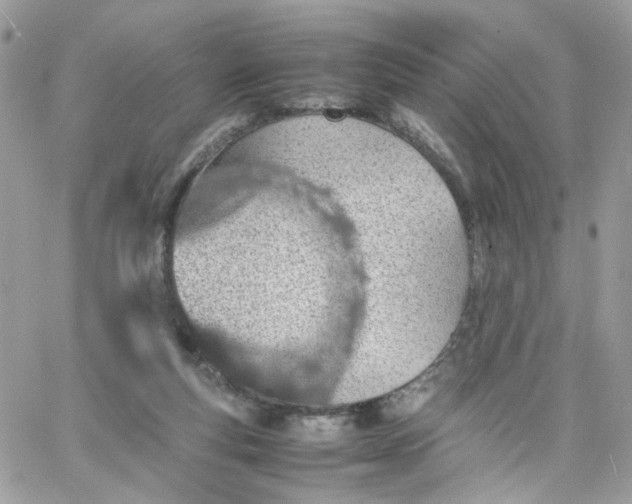 X0000066080163200603241441