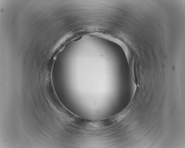 X0000066080164200603241441