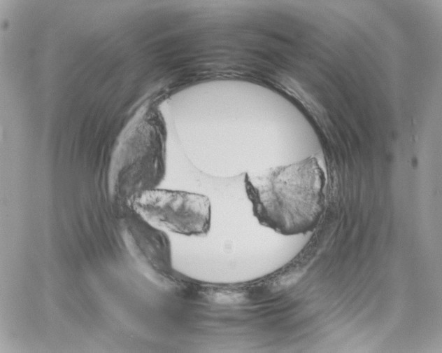 X0000066080165200603241441