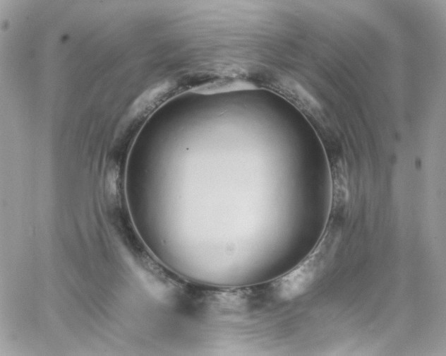 X0000066080166200603241441