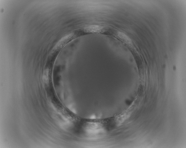 X0000066080167200603241441