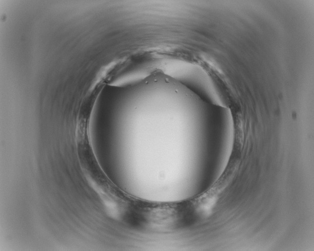 X0000066080168200603241441