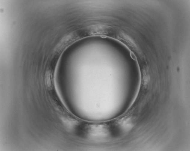 X0000066080169200603241441