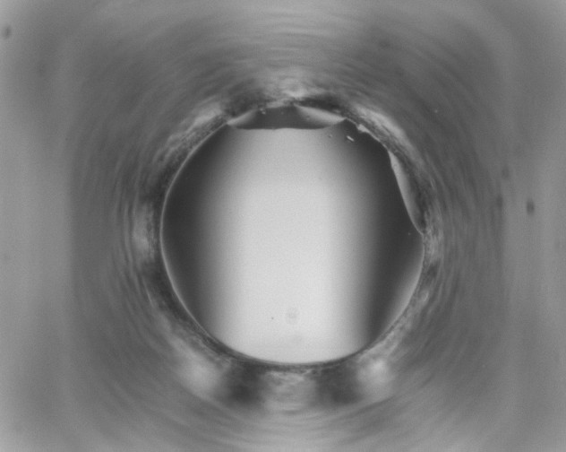 X0000066080170200603241441