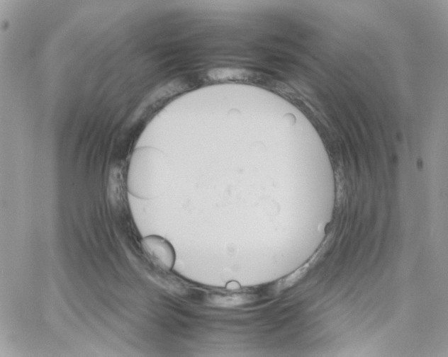 X0000066080171200603241441