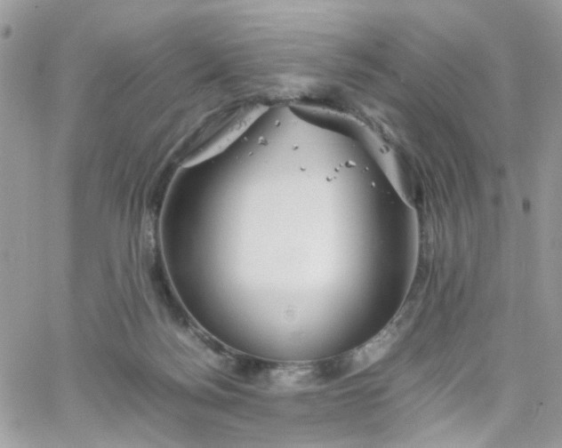 X0000066080172200603241441