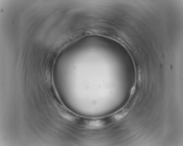 X0000066080173200603241441