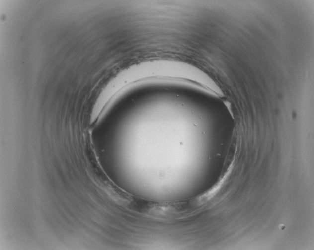 X0000066080174200603241441