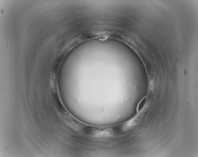 X0000066080175200603241441