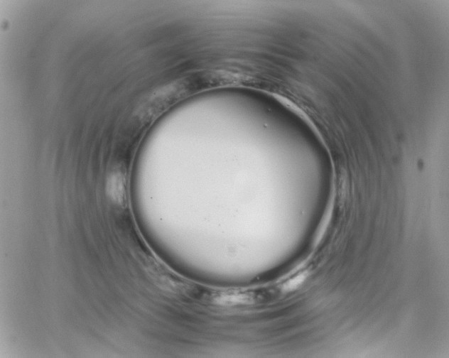 X0000066080177200603241441