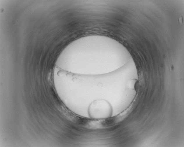 X0000066080178200603241441