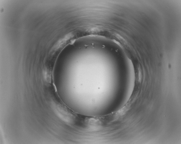 X0000066080180200603241441