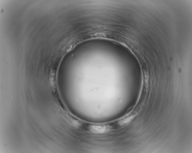 X0000066080181200603241441