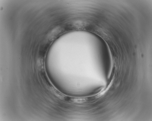 X0000066080182200603241441