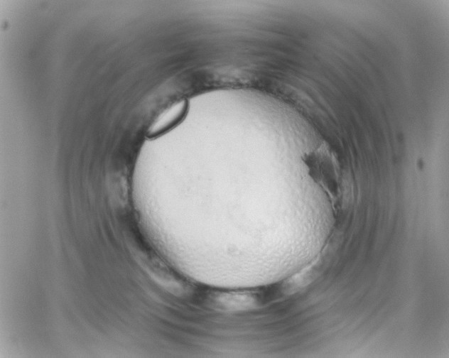 X0000066080183200603241441