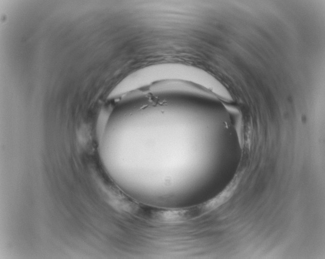 X0000066080184200603241441