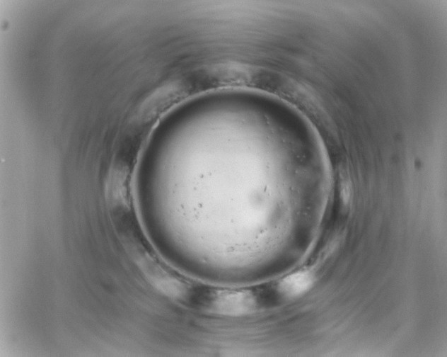 X0000066080185200603241441