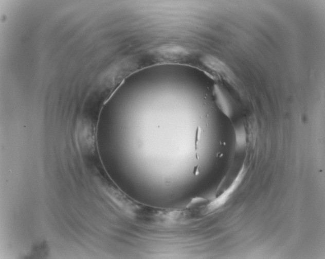 X0000066080186200603241441