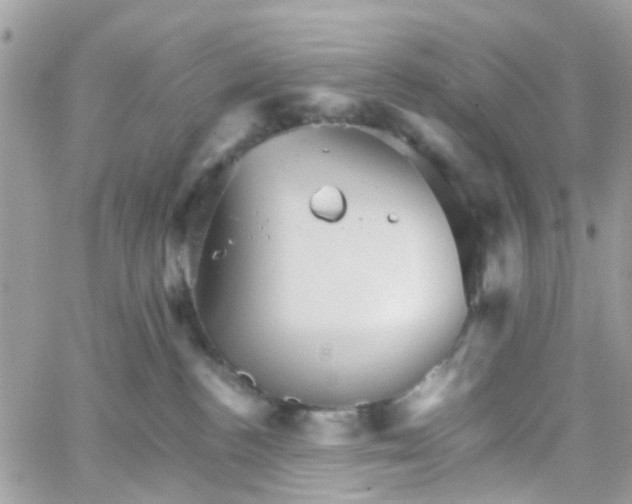 X0000066080188200603241441