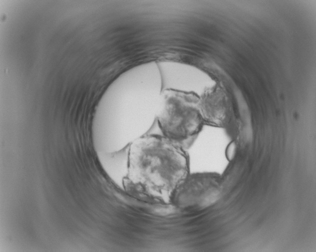 X0000066080189200603241441