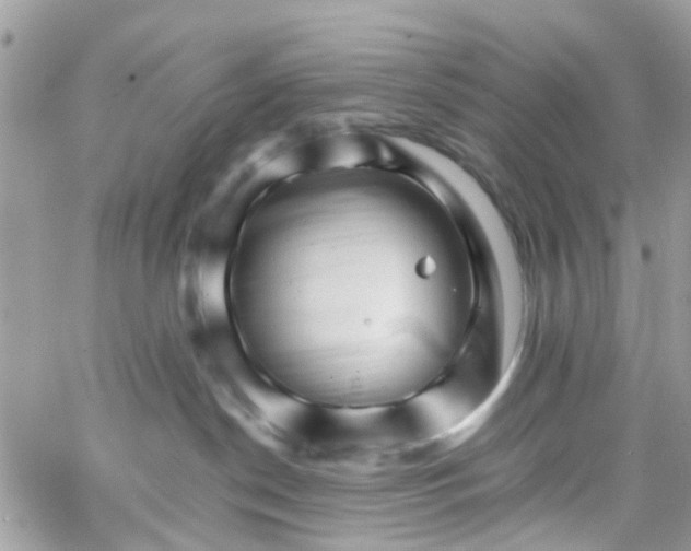 X0000066080190200603241441