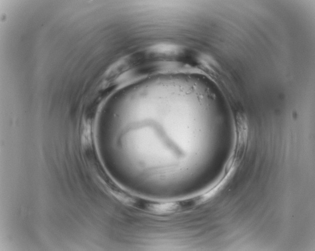 X0000066080191200603241441