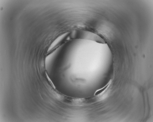 X0000066080192200603241441