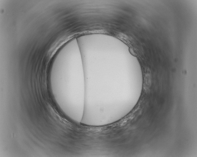 X0000066080194200603241440