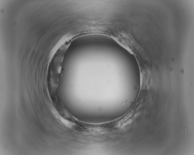 X0000066080195200603241440