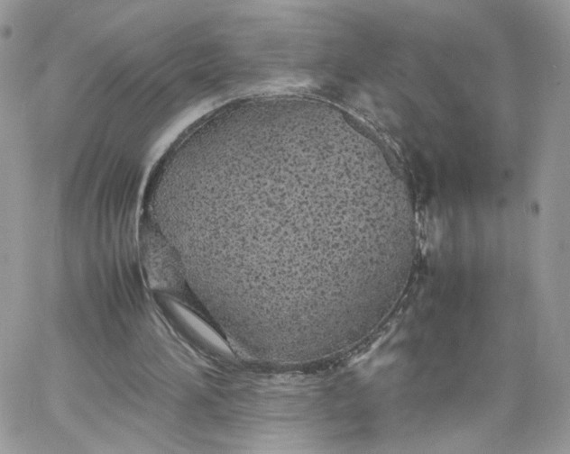 X0000066080196200603241440