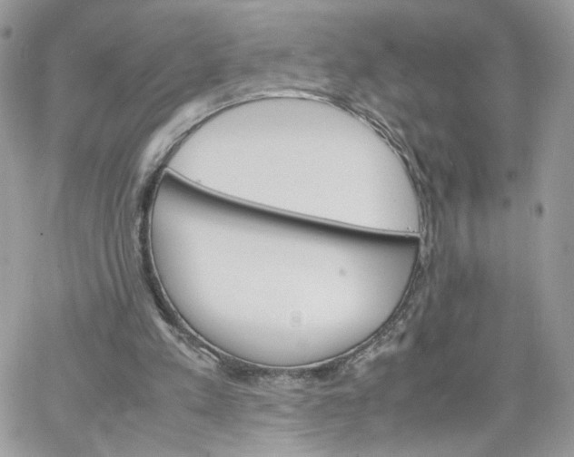 X0000066080197200603241440