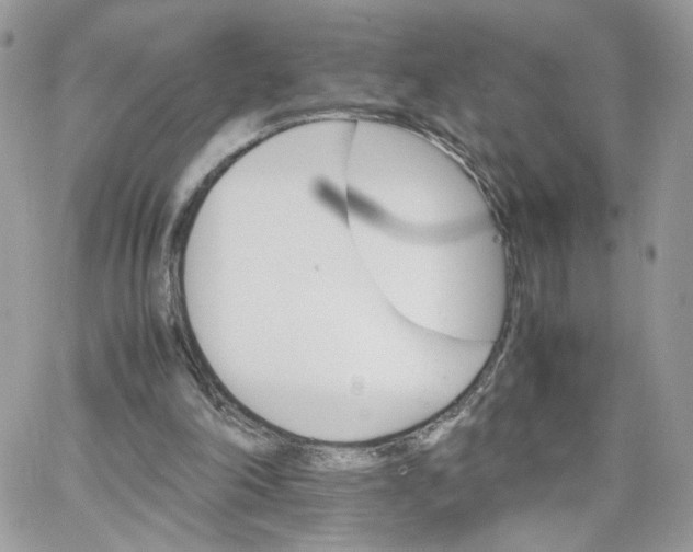 X0000066080198200603241440