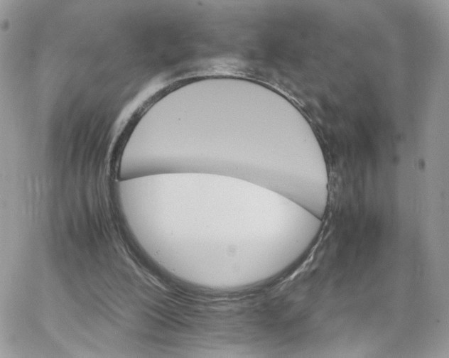 X0000066080200200603241440