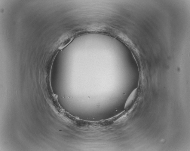 X0000066080201200603241440