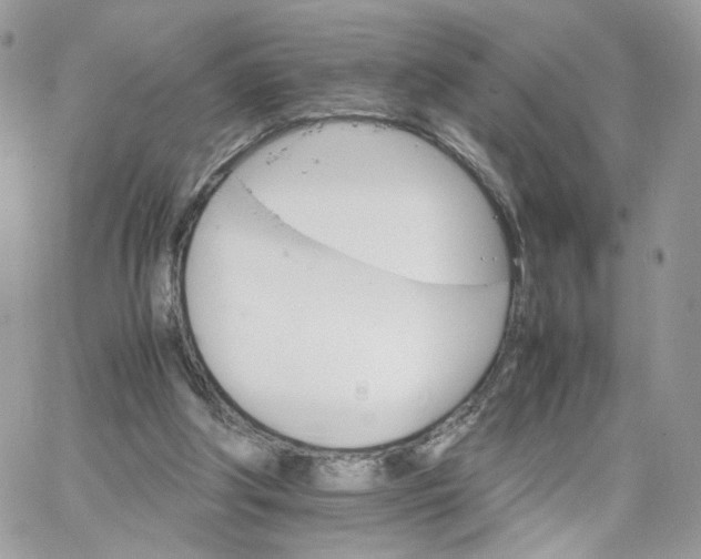 X0000066080202200603241440